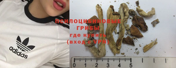 индика Белокуриха