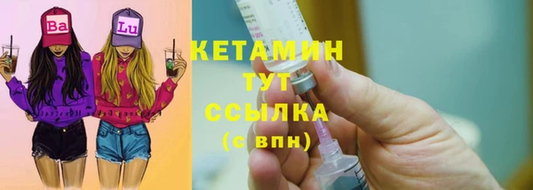 индика Белокуриха