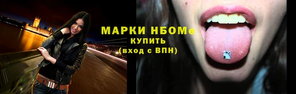 индика Белокуриха
