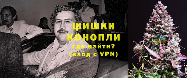 индика Белокуриха