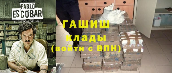 индика Белокуриха