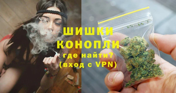 индика Белокуриха