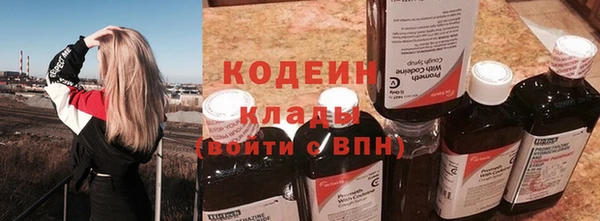 индика Белокуриха