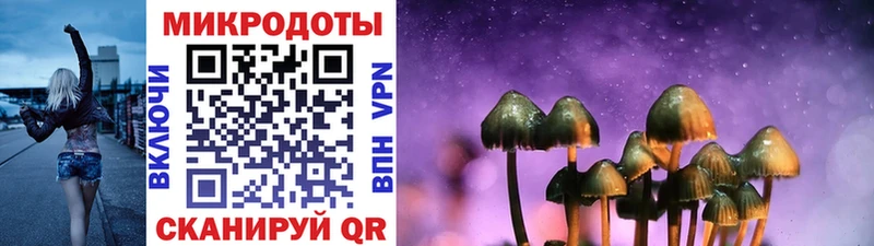 Купить где  Могоча  Галлюциногенные грибы MAGIC MUSHROOMS 